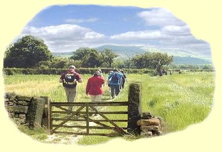 walk.jpg (44668 bytes)